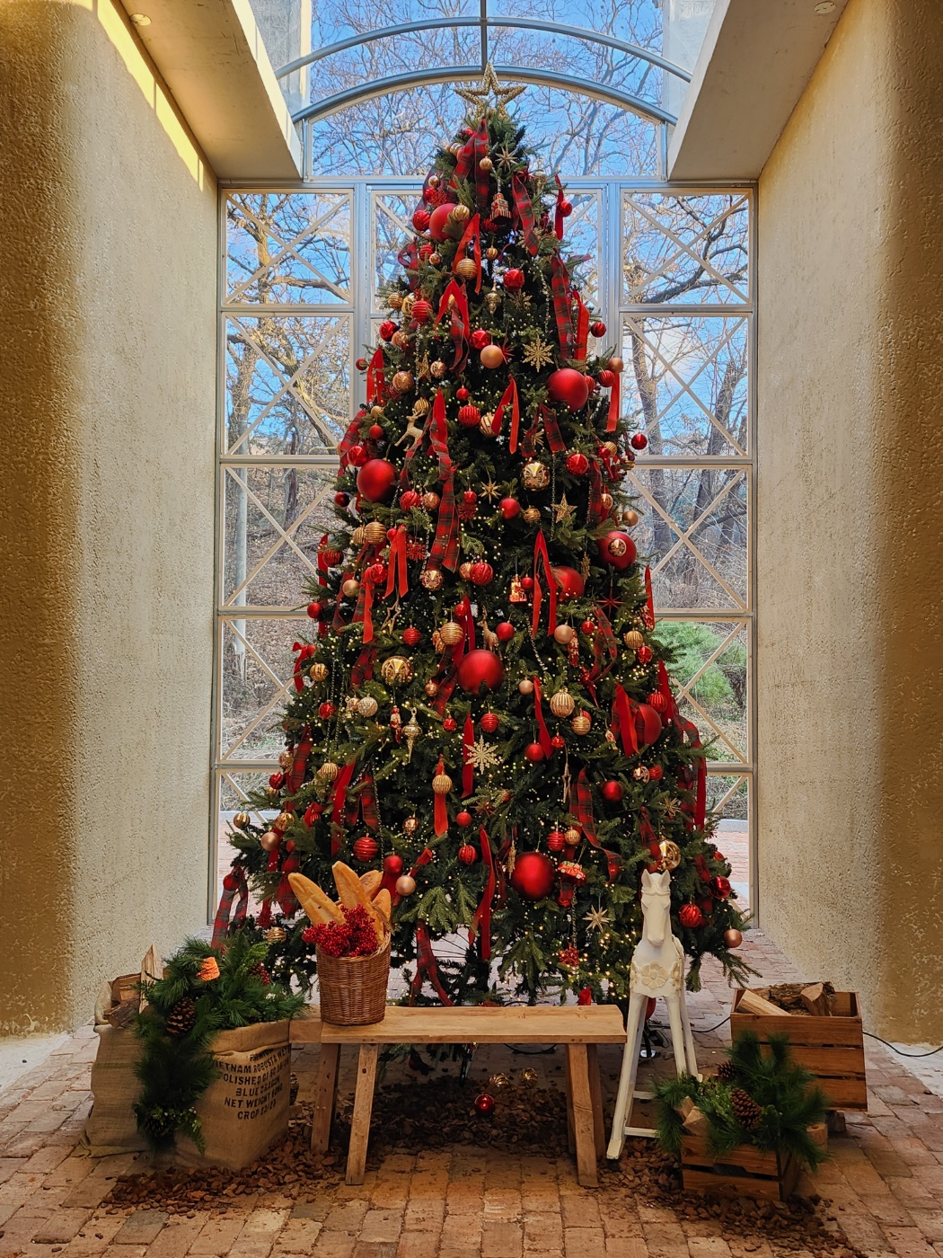 투하츠베이커리 오후 트리