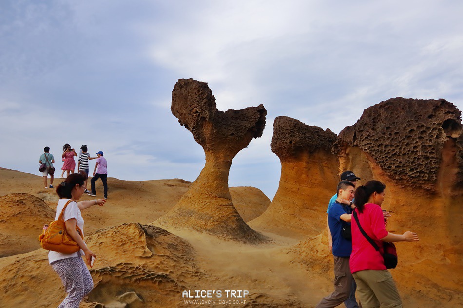 대만 자유여행 타이베이 출발 일일 원데이 버스투어 추천 + 할인쿠폰