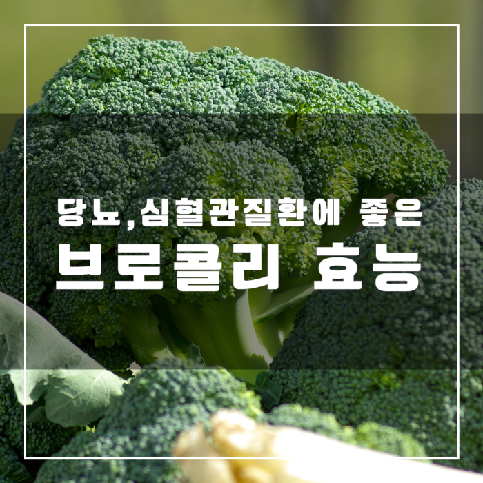 브로콜리효능