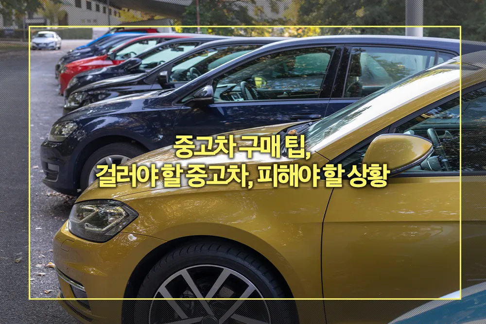 중고차 구매 팁 무조건 걸러야 할 중고차