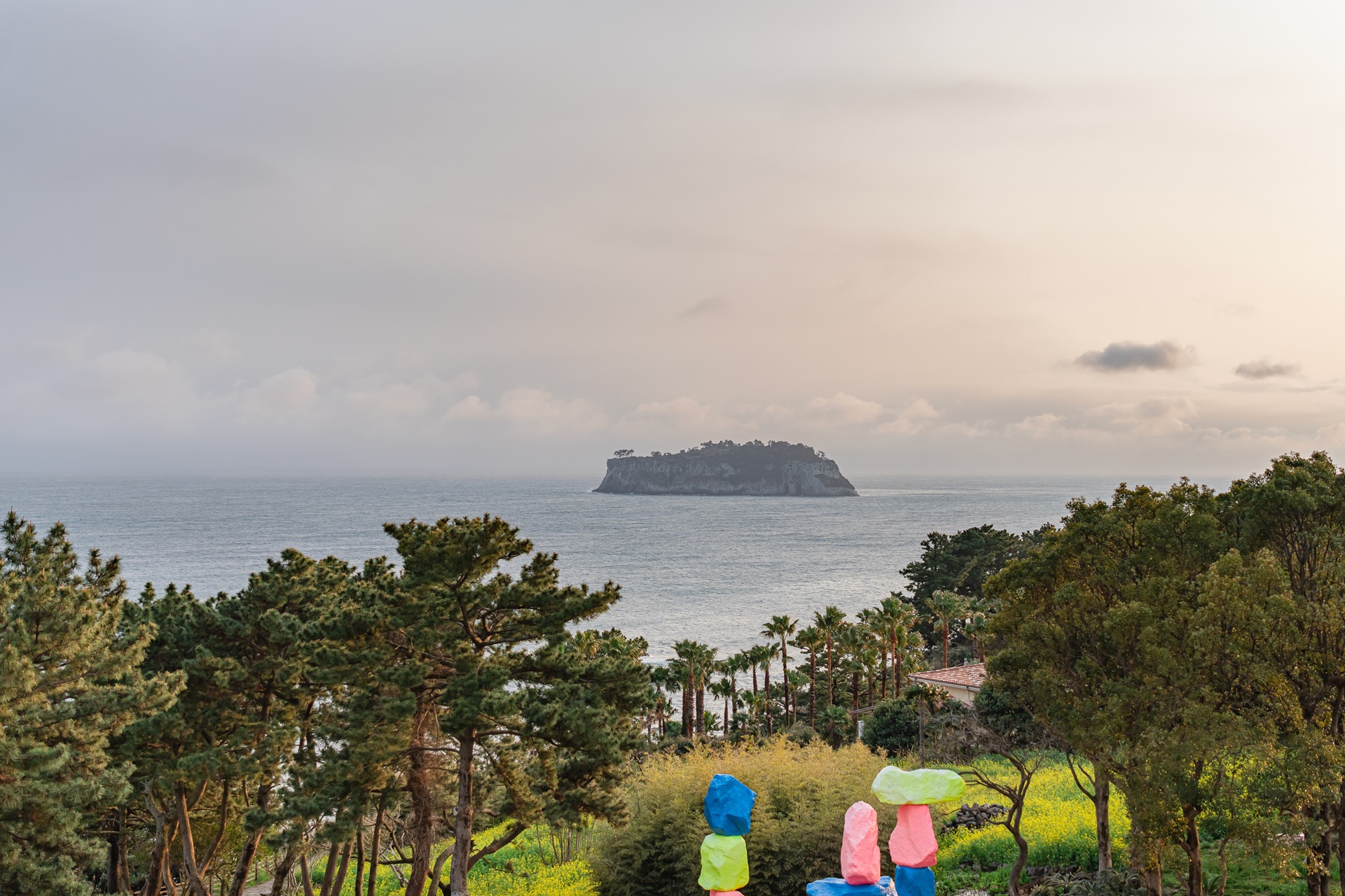 #JW가든 #JW메리어트제주 #댄싱두루미 #더플라잉호그 #아일랜드키친 #유채꽃 #제주사진 #제주여행 #제주유채꽃 #제주호텔