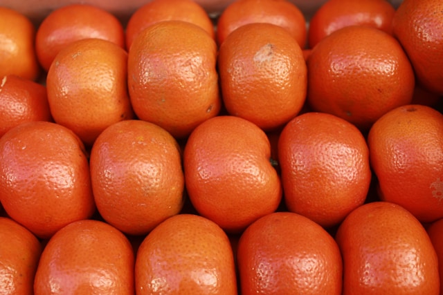 GAP 인증 무농약 한라봉 선물 추천 가이드