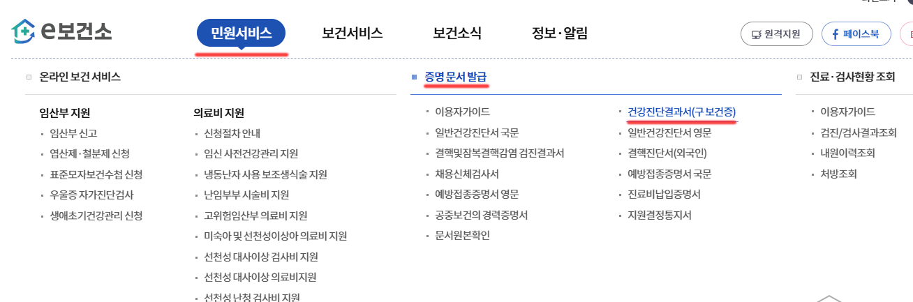 e보건소 건강진단결과서(보건증) 발급