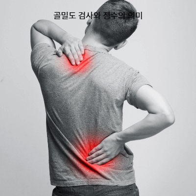 골밀도 검사 결과 해석｜T&middot;Z점수 차이와 기준 (2025 최신)