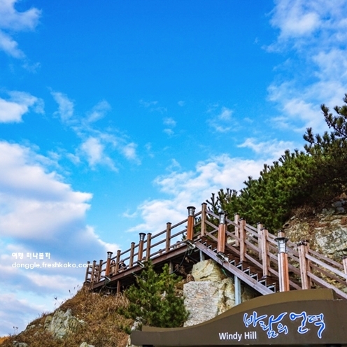 통영 거제도 2박3일 여행코스