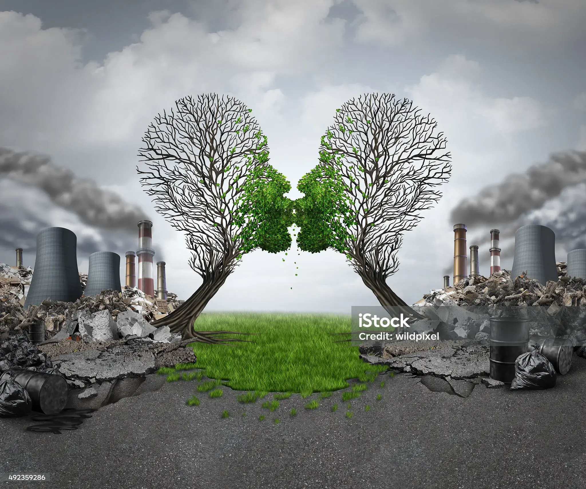 암 환자 회복기 환경 관리에 대한 흔한 오해 7가지