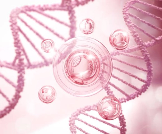 저분자 어린 콜라겐 효능 부작용 제품 추천 (김세정 초록병)