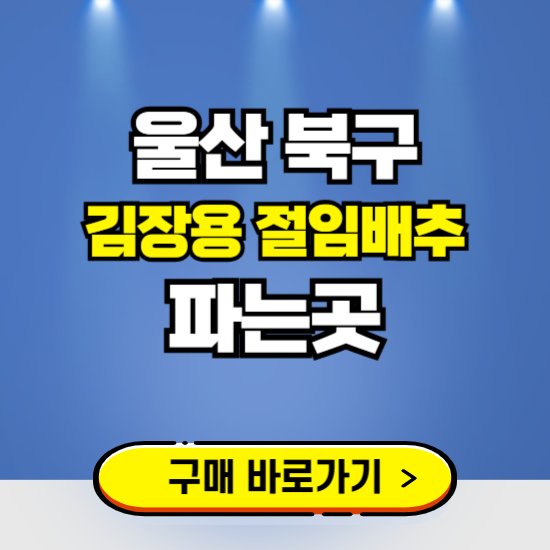 울산 북구 절임배추 사전예약 구입하는곳 ❘ 김장배추 파는곳 가격보기