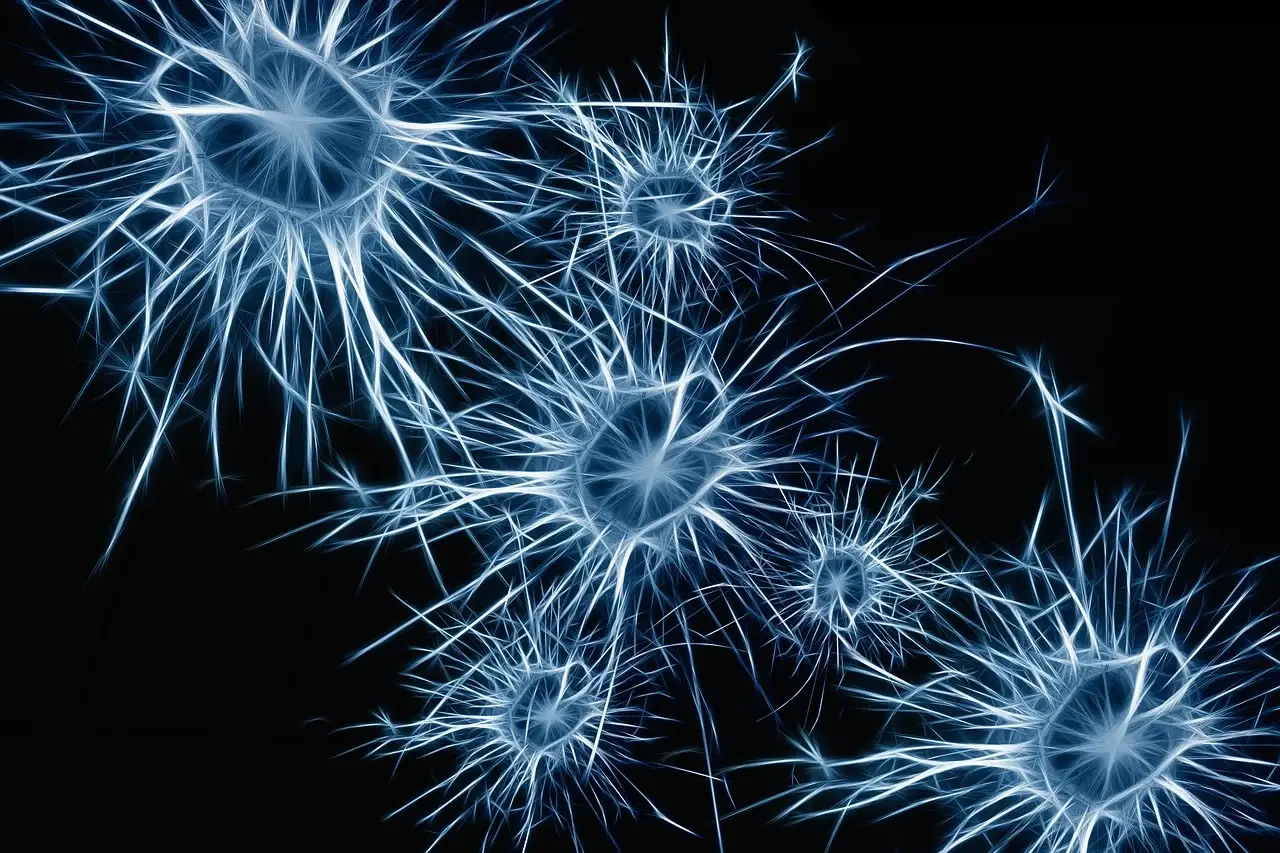 치매예방 당뇨예방