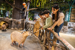 동탄 라크몽 주렁주렁 내부사진