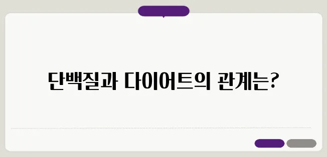 단백질 많이 먹으면 살 빠질까? 다이어트 성공 vs. 실패 차이