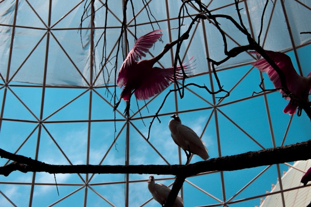 니코스 카잔차키스의 소설 그리스인 조르바를 통해 진정한 자유의 의미를 고찰하는 인문학 가이드 이미지