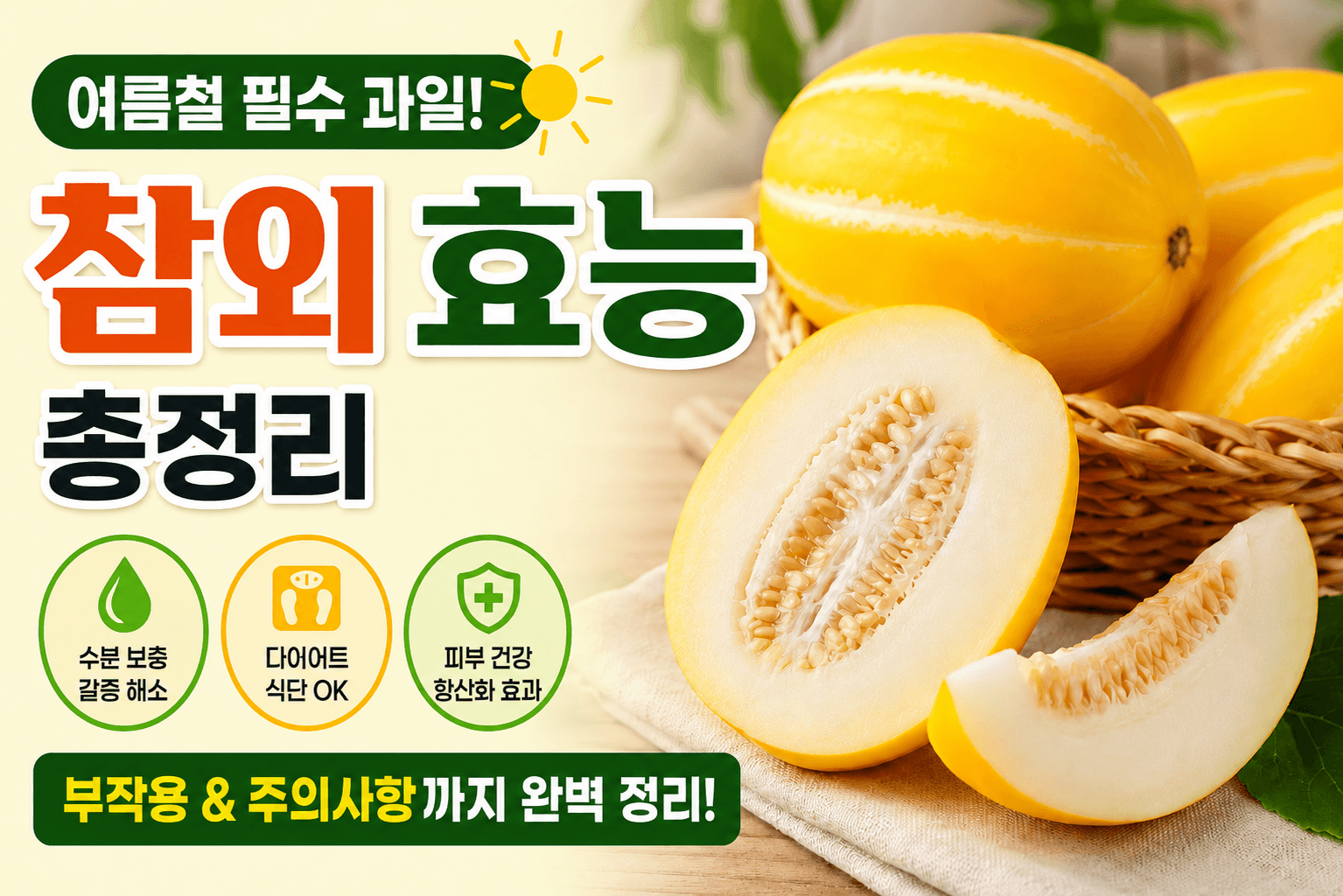 참외 매일 먹으면 몸에 생기는 변화? 참외 효능과 주의사항 총정리