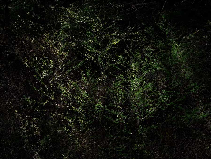 제23회 동강국제사진제 거리설치전