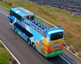 관광버스 타는 꿈 해몽풀이 [무료 꿈해몽]