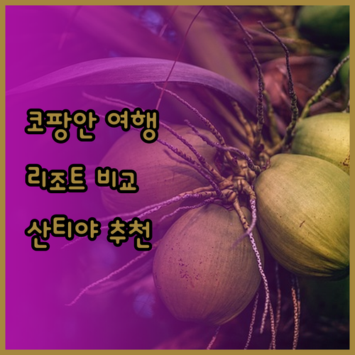 코팡안 여행 계획 중? 판비만 부리라