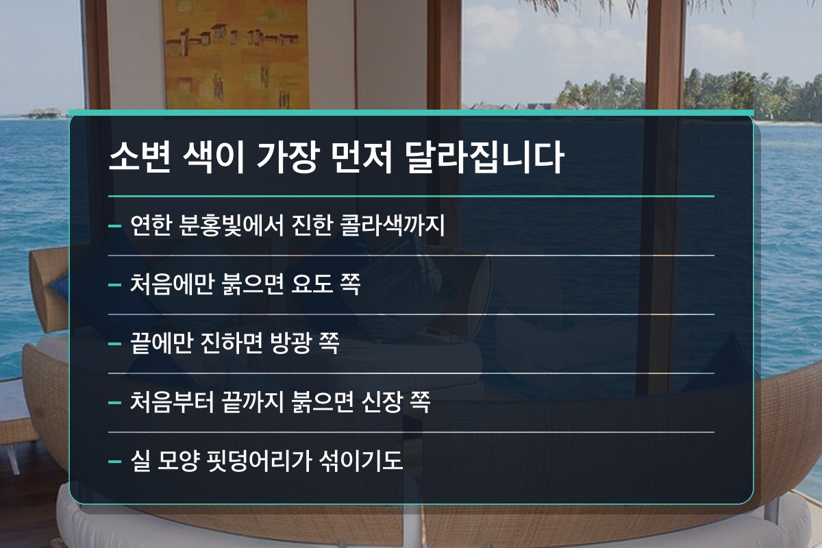 혈뇨 혈뇨의 초기 증상은 이렇게 나타납니다