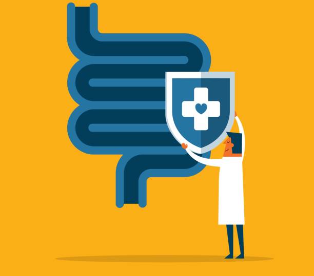 장 건강 영양제 Best 5! 장 건강에 진심인 당신을 위한 선택!