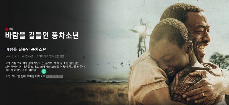 바람을 길들인 풍차소년