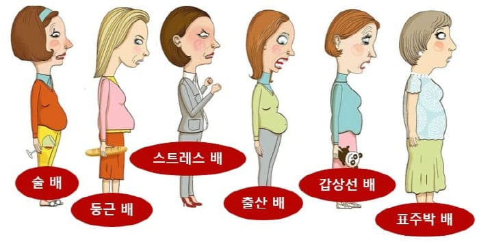 뱃살의유형