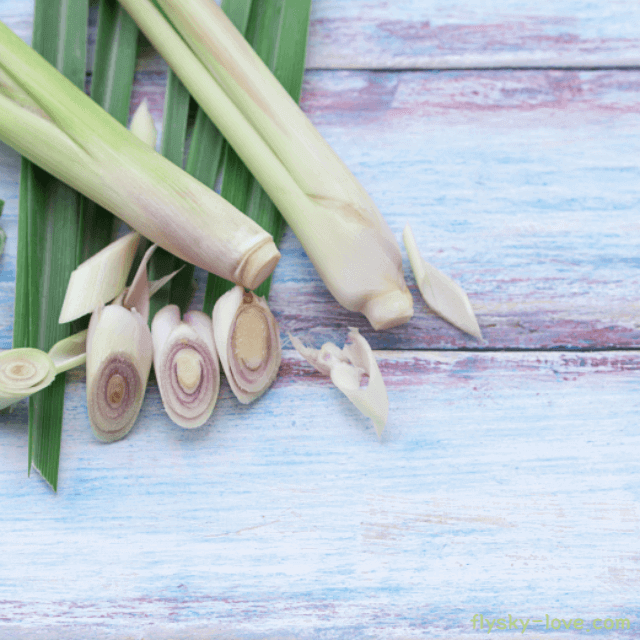 레몬그라스 효능