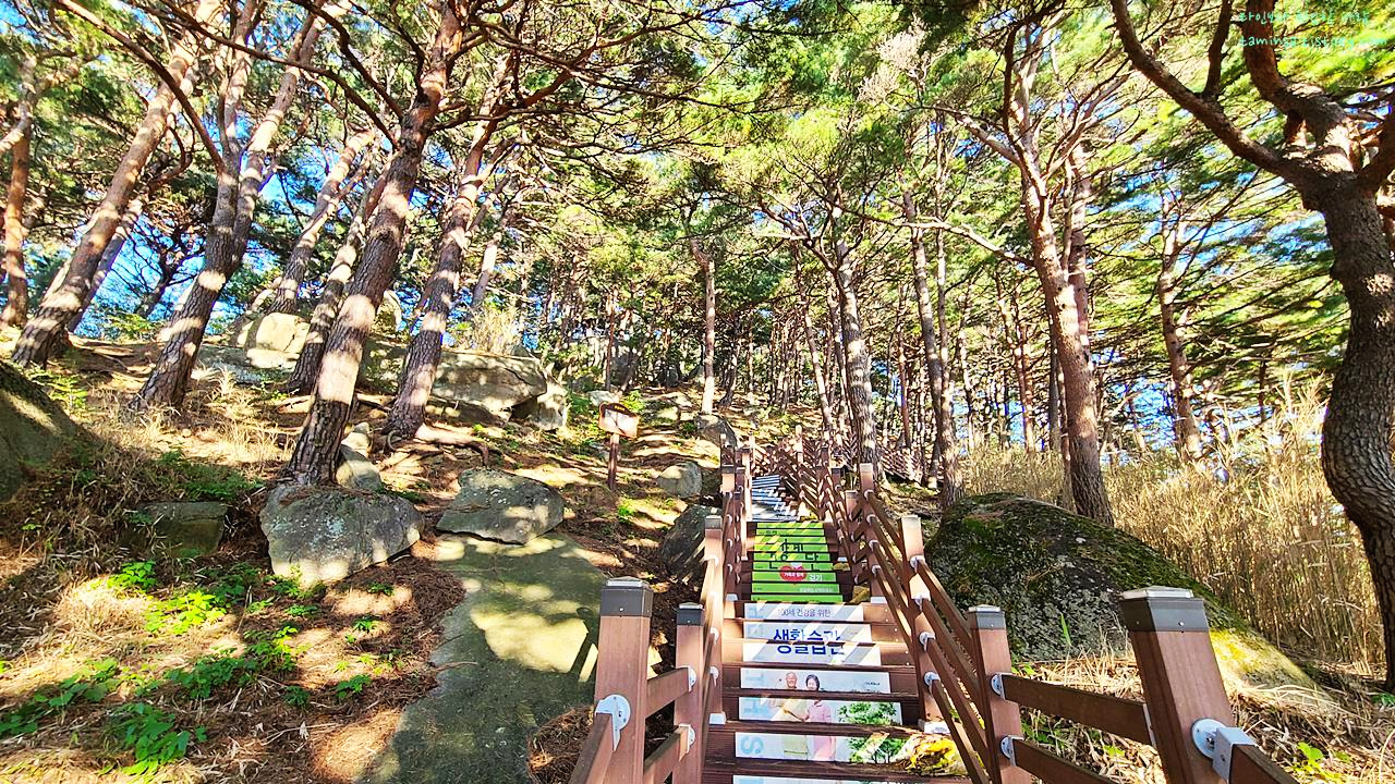 강원도여행-죽도전망대