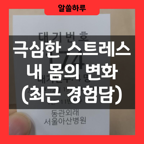 스트레스로 인한 병원진료 대기