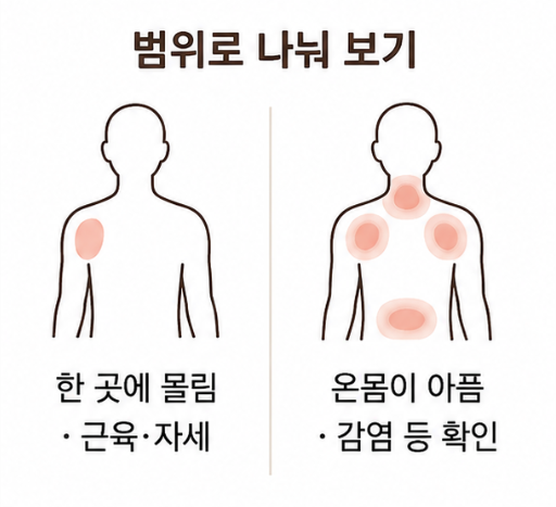 근육통 범위별 구분 도해, 한 부위에 몰린 통증과 온몸이 아픈 통증의 원인 차이를 나란히 그린 그림