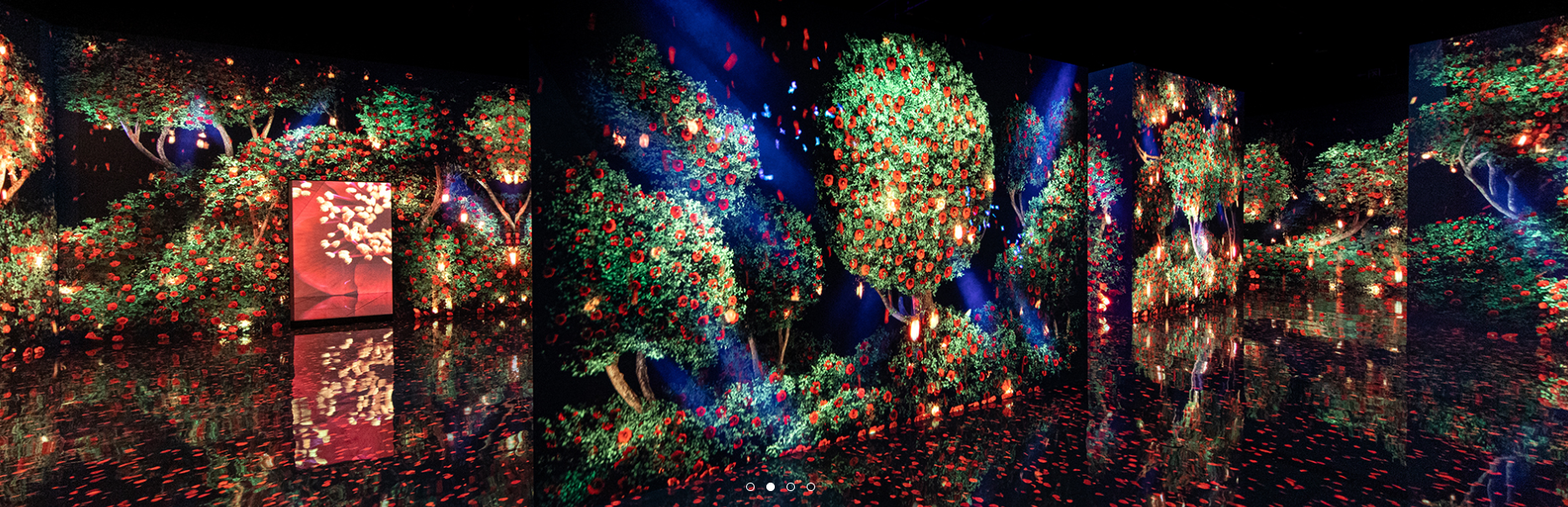 제주도 실내 가볼만한 곳 추천합니다.