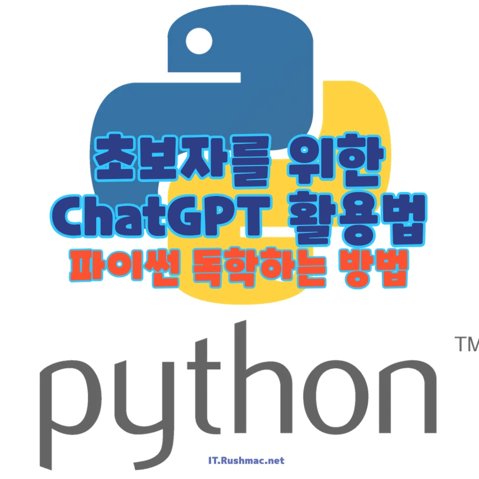 ChatGPT로 파이썬 독학