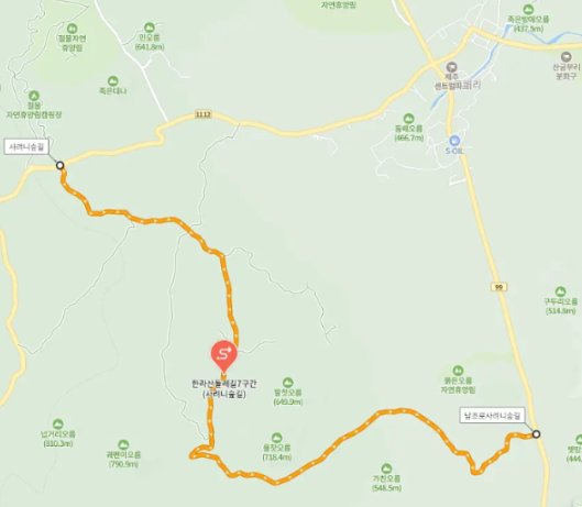 사려니숲길 트래킹구간