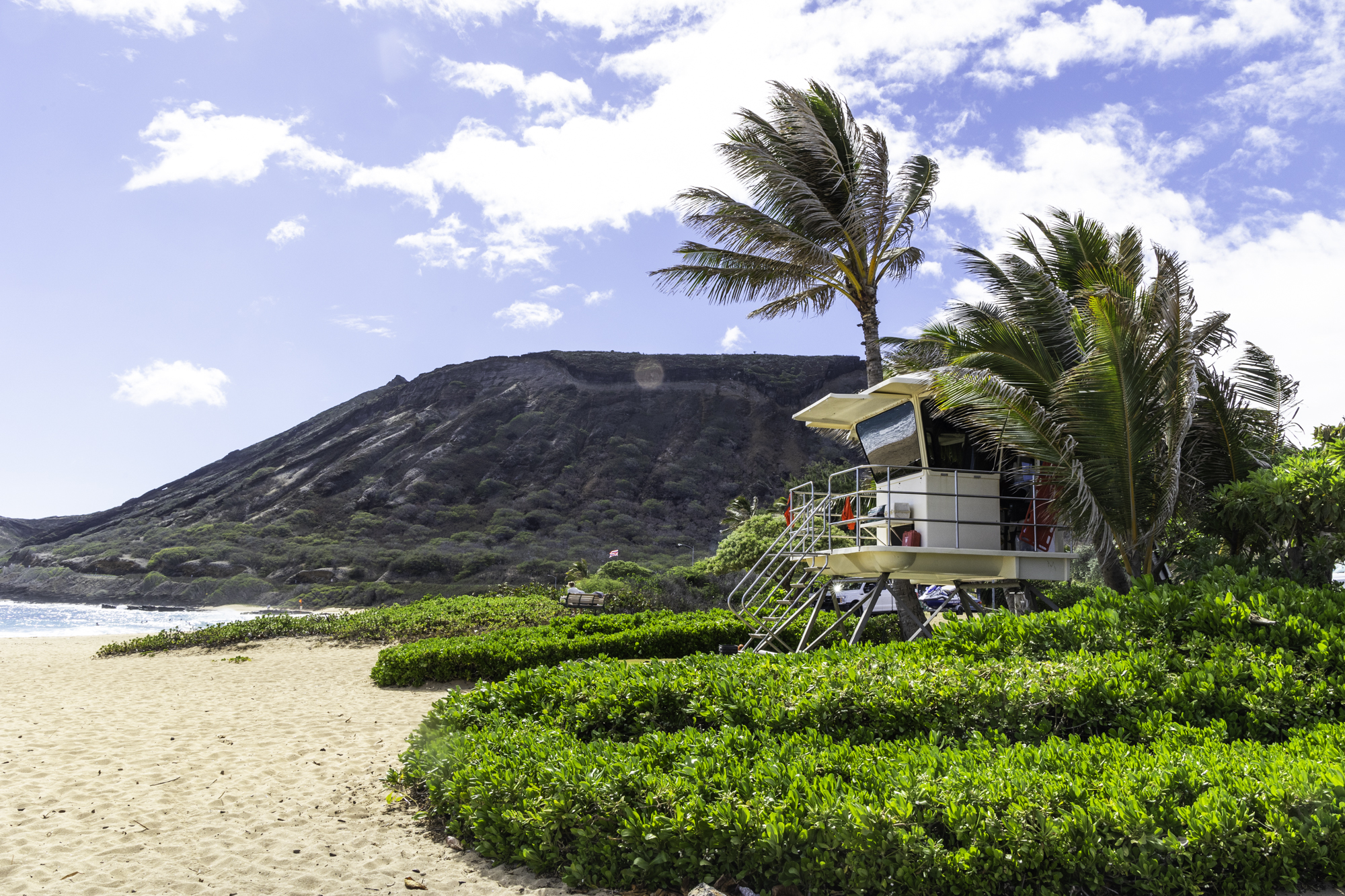 하와이 샌디비치 라이프가드