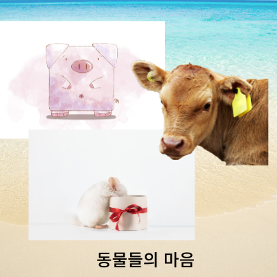 돼지띠쥐띠소띠가좋아하는선물
