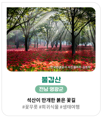 가을&amp;#44; 가을꽃 여행지 추천