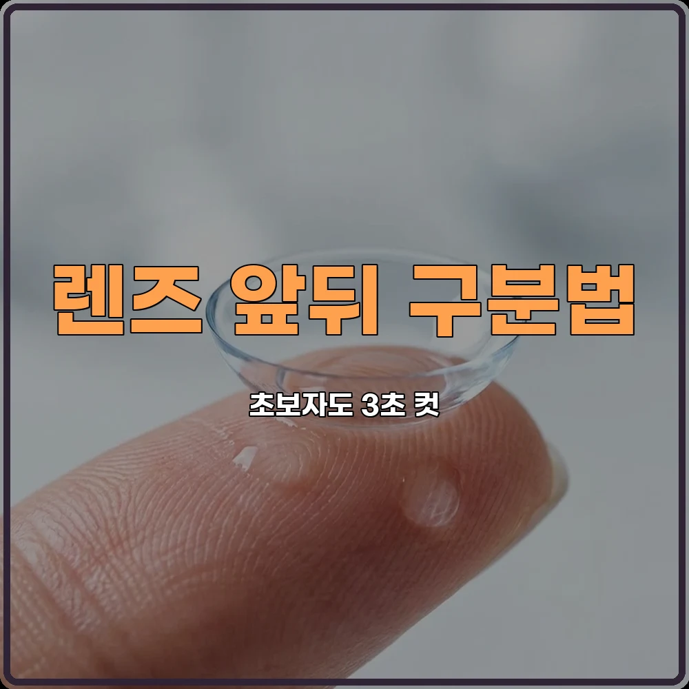 렌즈초보