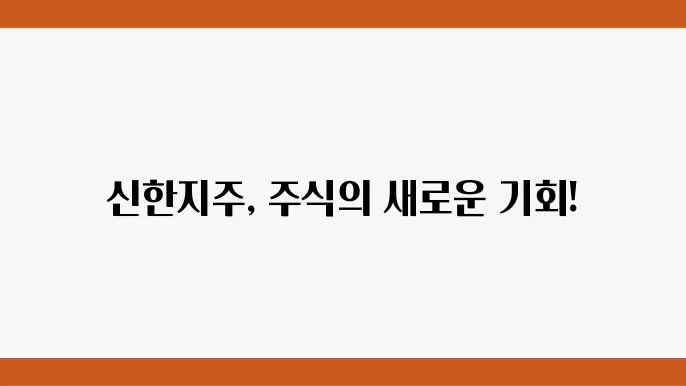 신한지주 주가 정보 요약