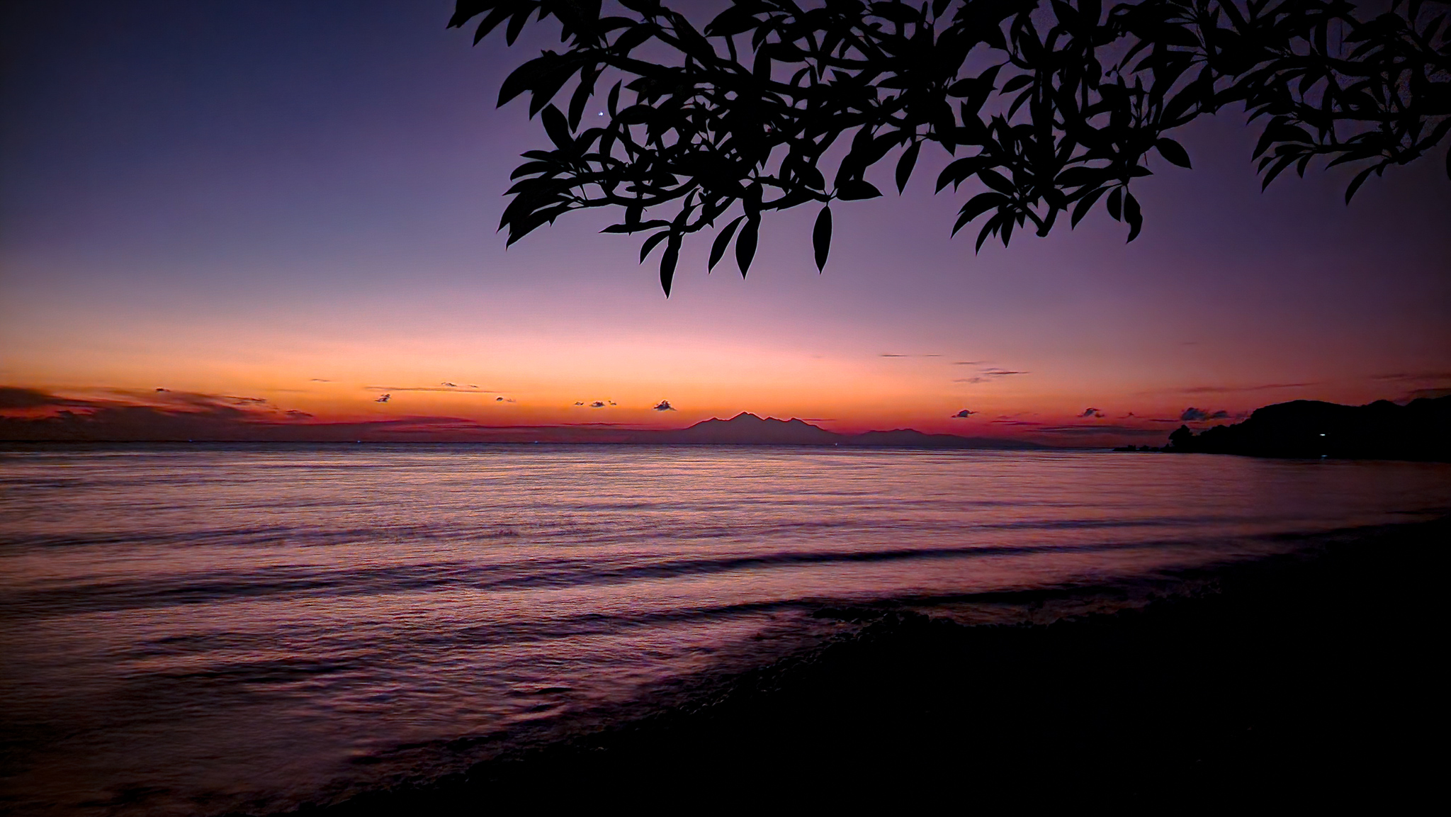 발리 입국 조건