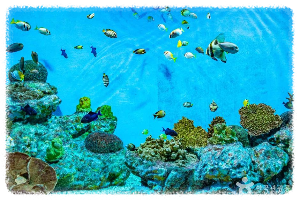 울진아쿠아리움