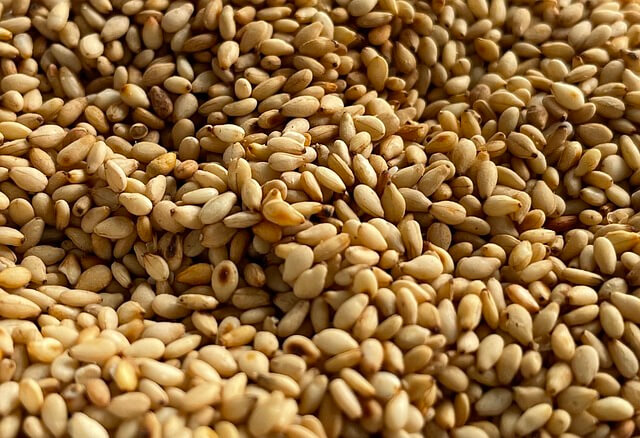 농어민수당 이의신청 방법 총정리