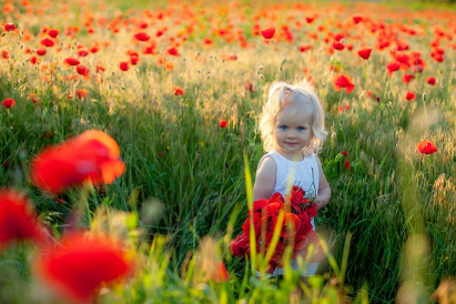 주말 가족 나들이 추천 BEST