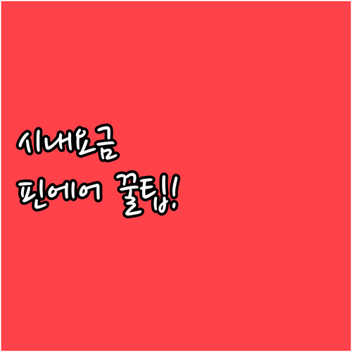 핀에어 0030-864-0115 시내..