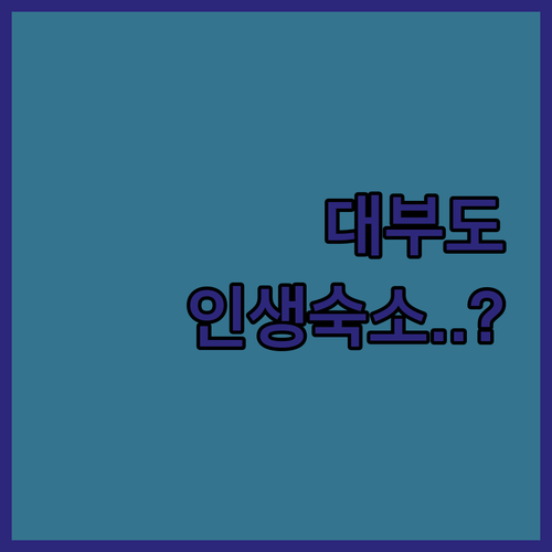 가족 여행에 좋은 인천 대부도 럭셔리..