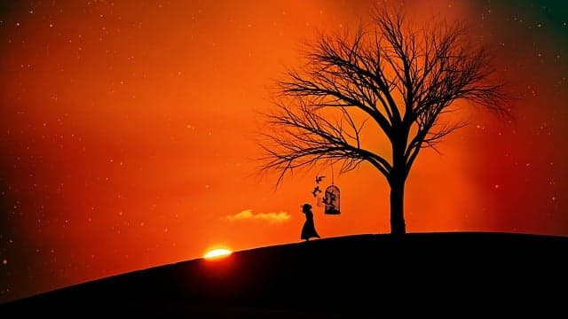 나만의 진동수 찾기 – 사운드 프로파일링 가이드