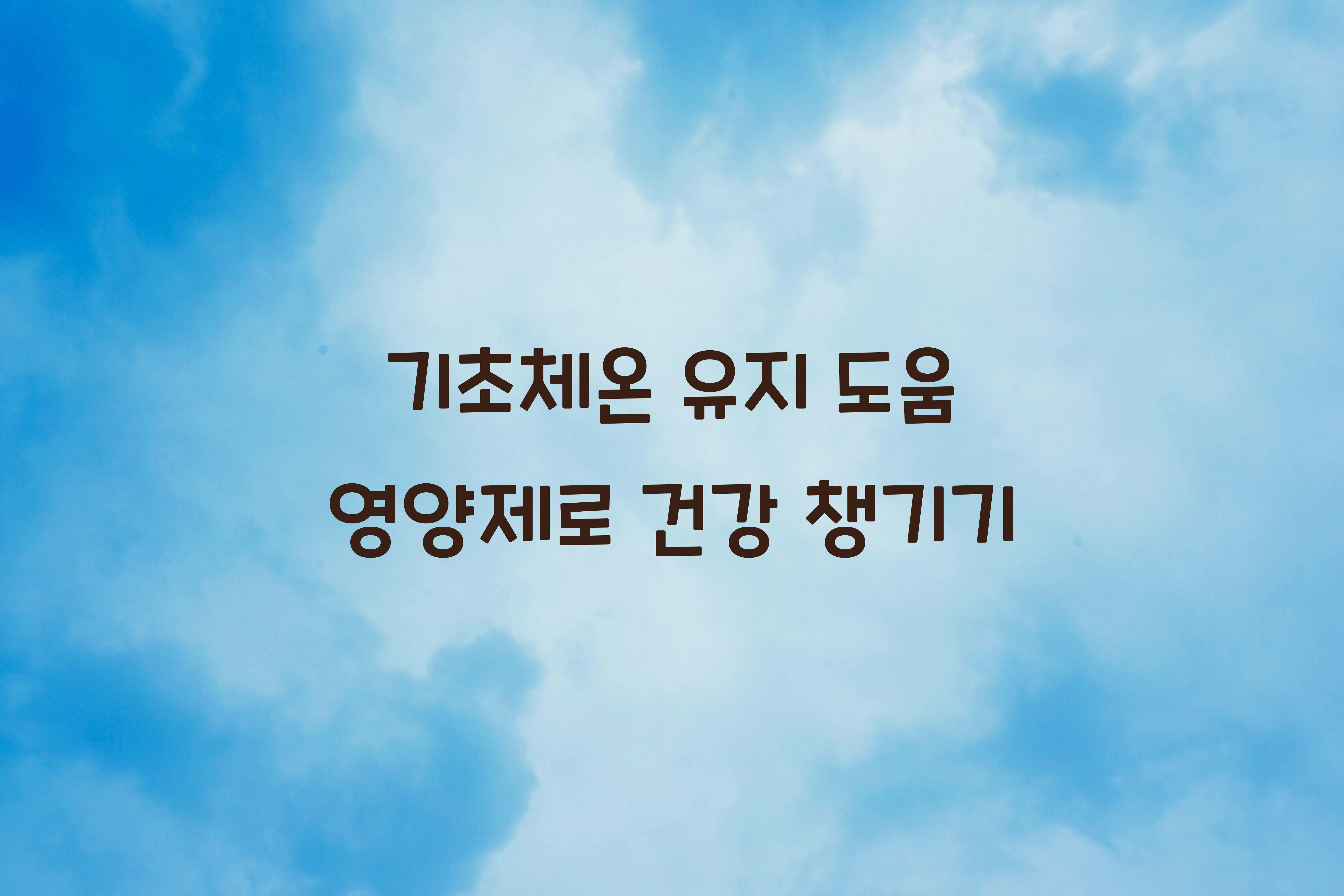 기초체온 유지 도움 영양제