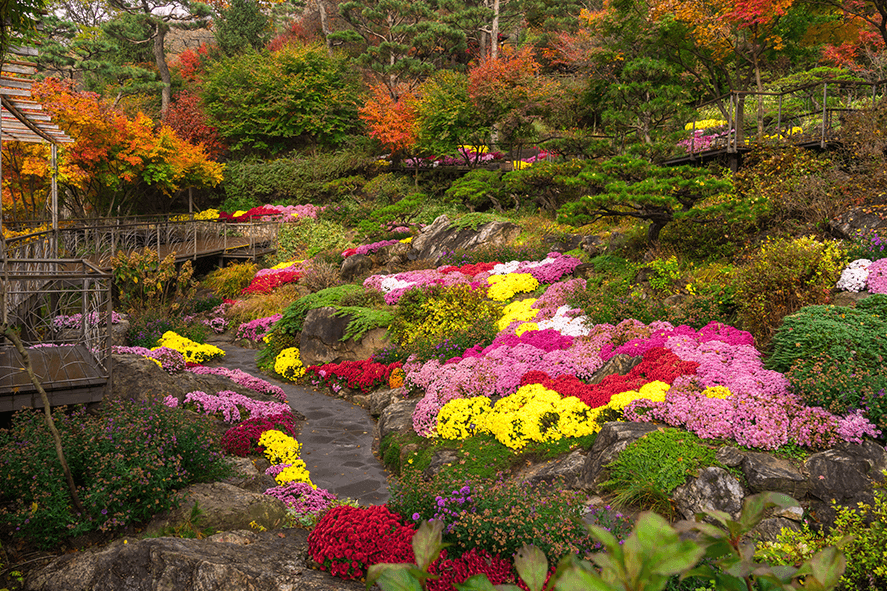 경기도 광주 곤지암 화담숲 예약 오픈 일자∙예약방법ㅣ단풍 개회시기