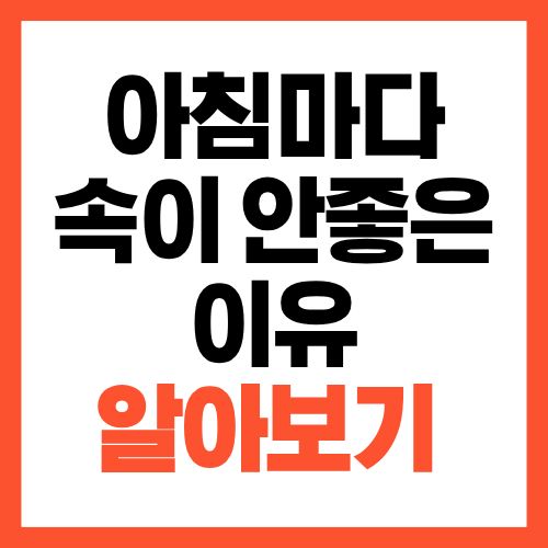 아침마다 속이 안 좋은 이유, 해결 방법은 의외로 간단합니다