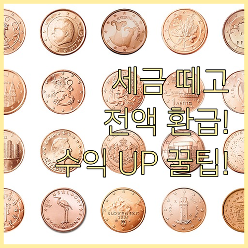 해외 배당금 세후 수익 극대화: 자동..