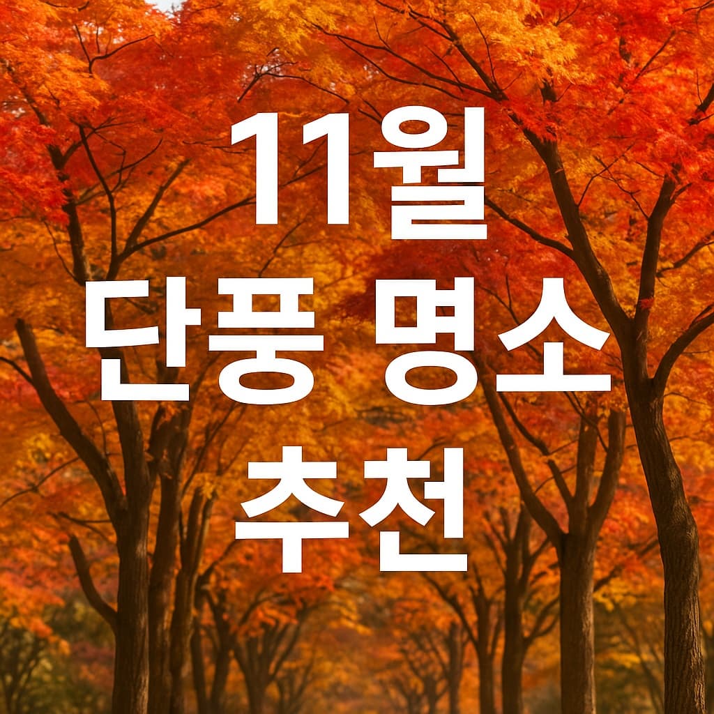 11월 단풍명소 추천