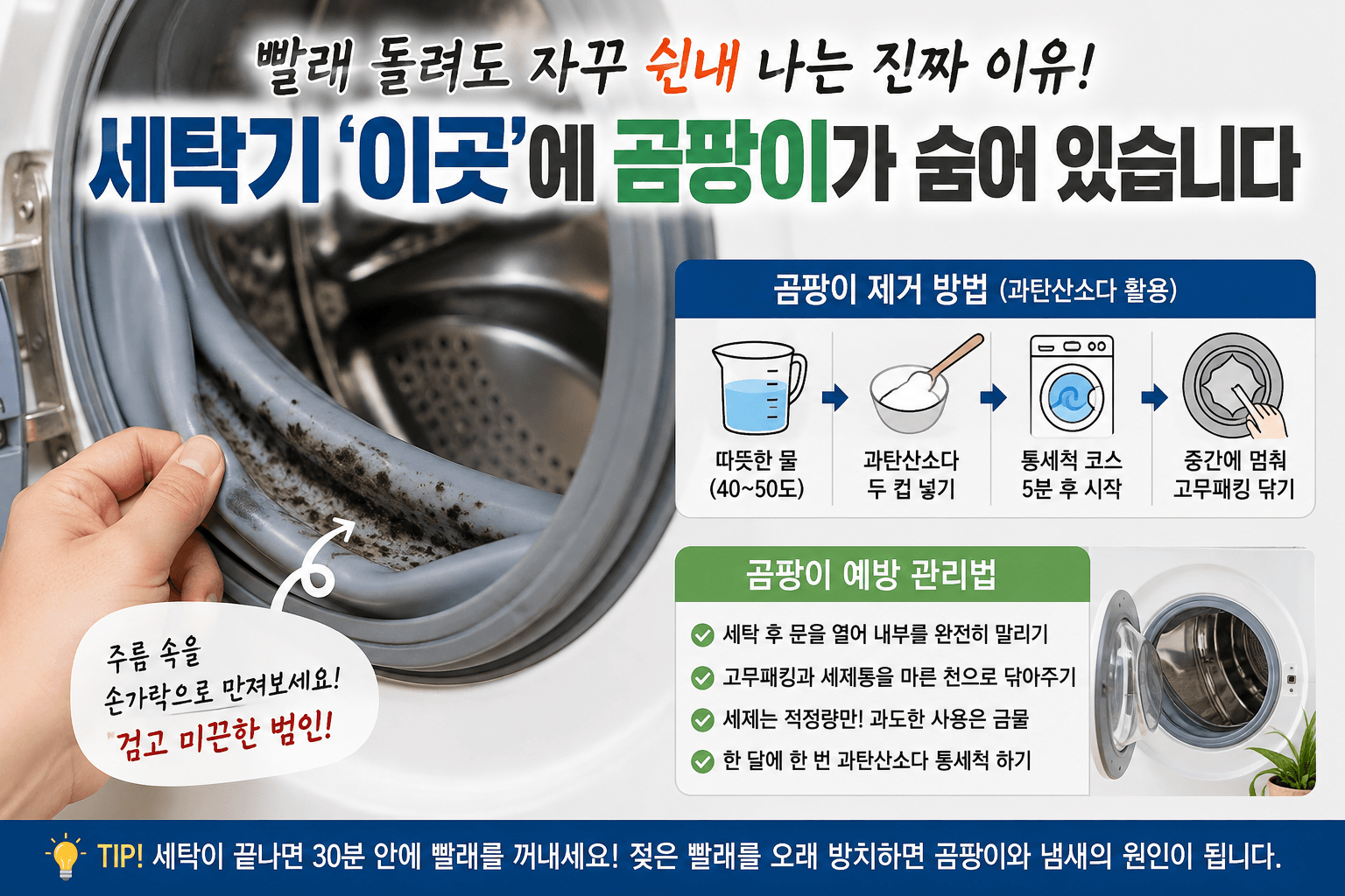 세탁기 쉰내 해결