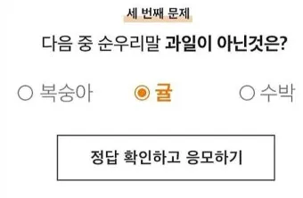 과일 이름 초성 퀴즈 모든 과일이름 총정리 자료집_21